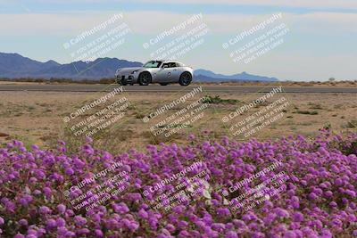 media/Jan-08-2023-SCCA SD (Sun) [[8f6a5b9391]]/Advanced Group/Session 2 (Short Straight)/